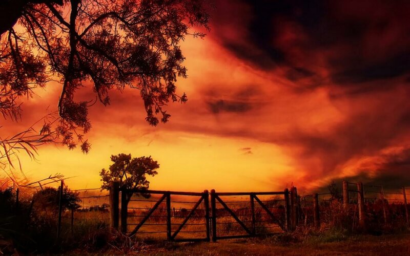 Wooden Gate at Sunset — Orange, Dramatic