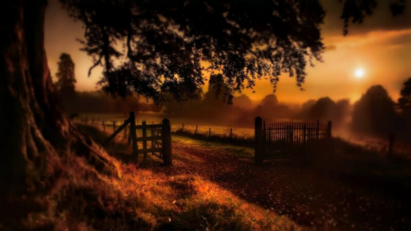 Wooden Gate at Sunset — Orange, Serene