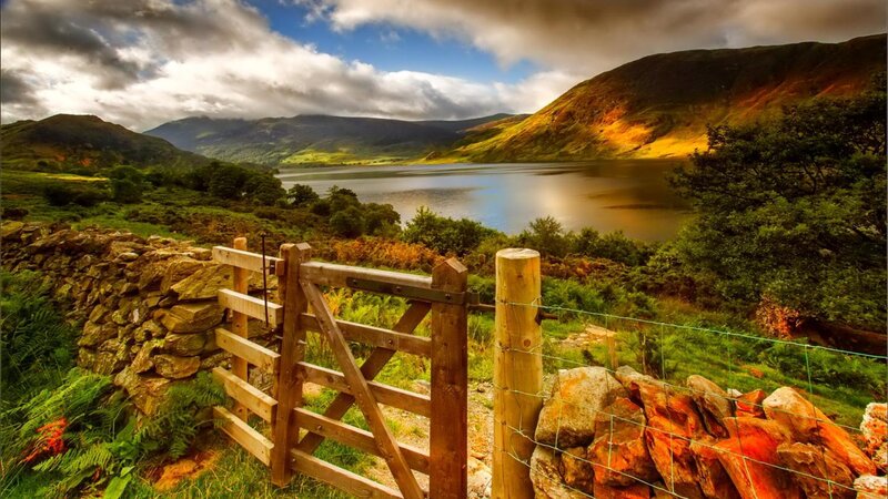Wooden Gate by Lake — Green
