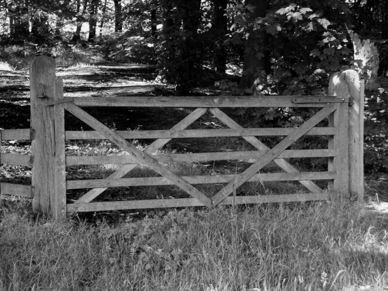 Wooden gate in a forest