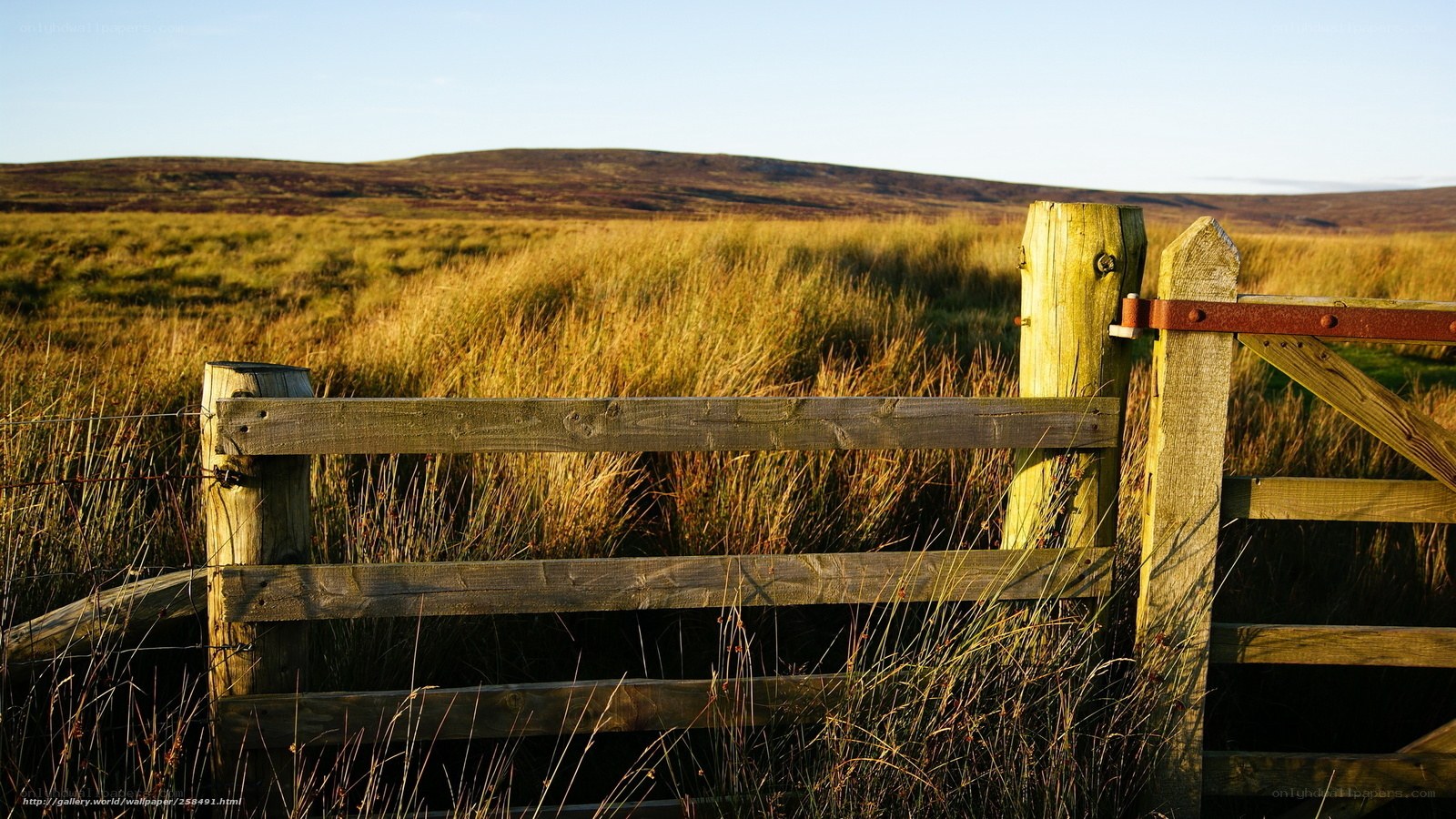 Wooden gate in a grassy field