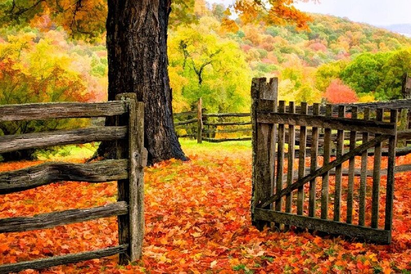 Wooden Gate in Autumn