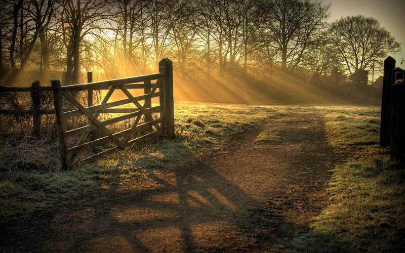 Wooden Gate in Field — Brown