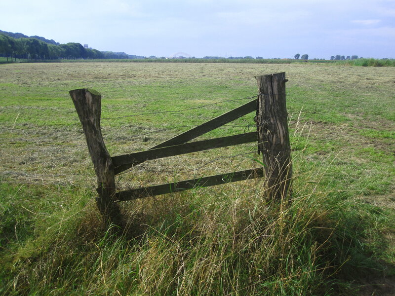 Wooden Gate in Field — Green, Calm