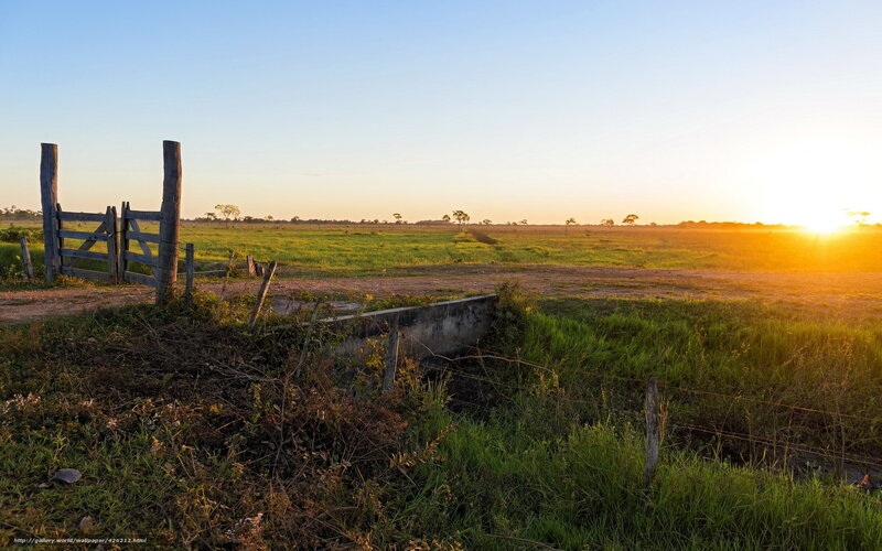 Wooden Gate in Field — Green, Serene, Sunrise, Photograph