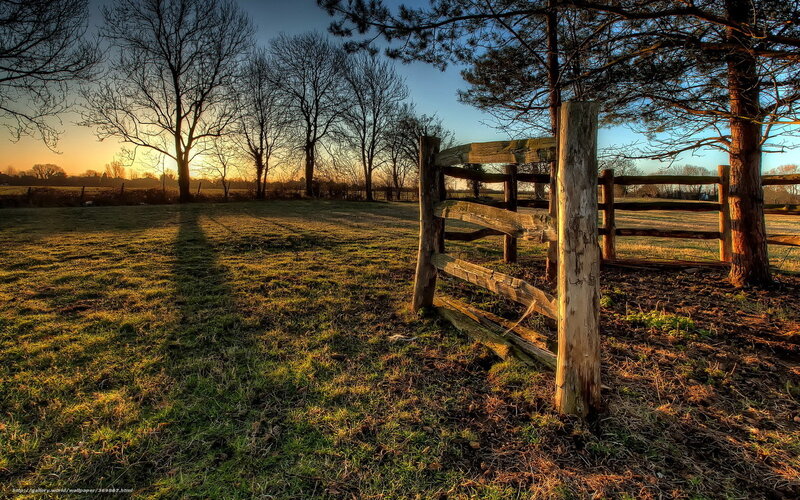Wooden Gate in Field — Green, Serene, Sunset, Photograph