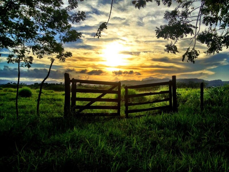 Wooden Gate in Field — Green, Serene