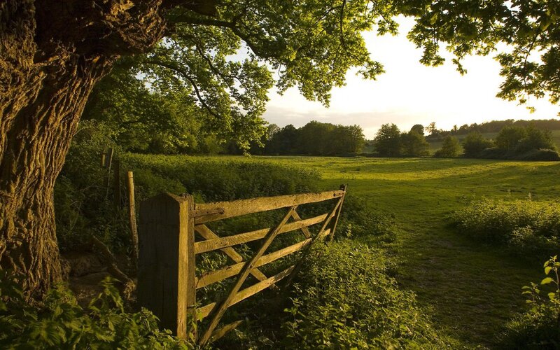 Wooden Gate in Field — Green
