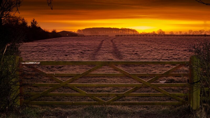 Wooden Gate in Field — Orange