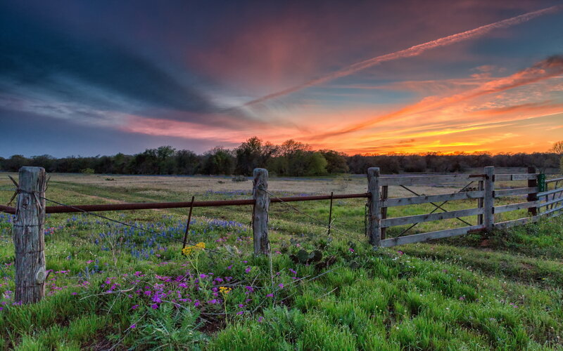 Wooden Gate in Field — Purple