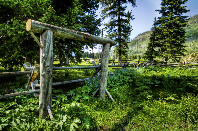 Wooden Gate in Forest — Green