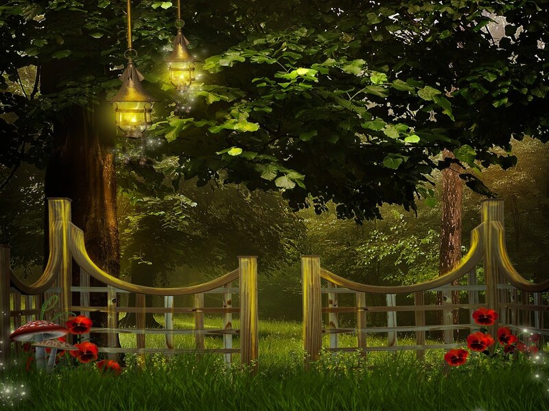 Wooden Gate in Forest