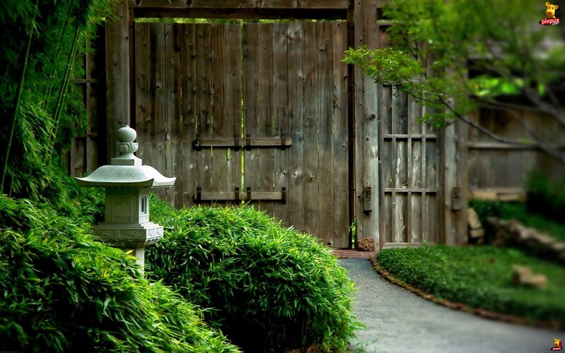 Wooden Gate in Garden — Green, Serene