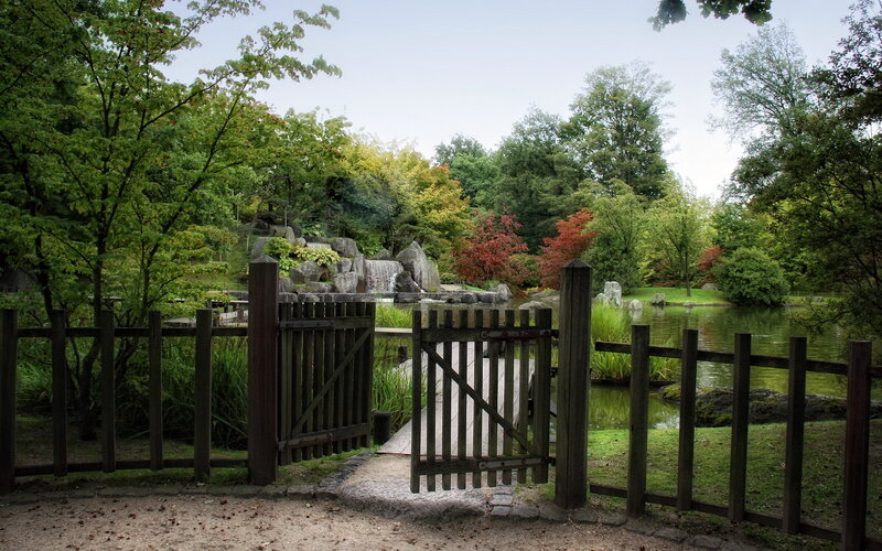 Wooden Gate in Garden — Green