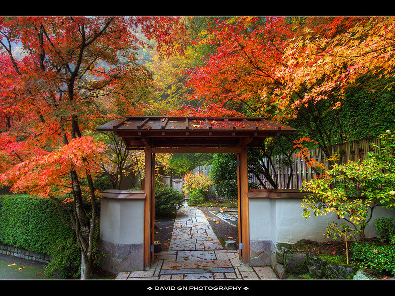 Wooden Gate in Garden — Red