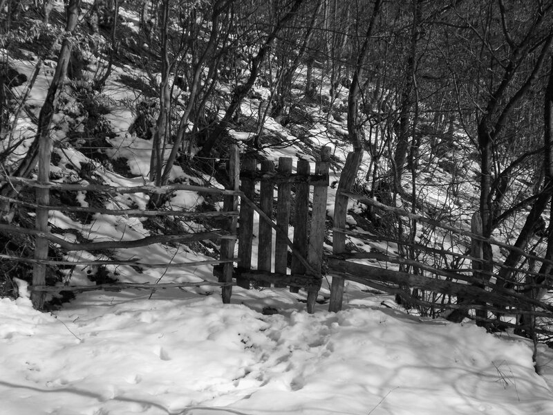 Wooden Gate in Snow — Black