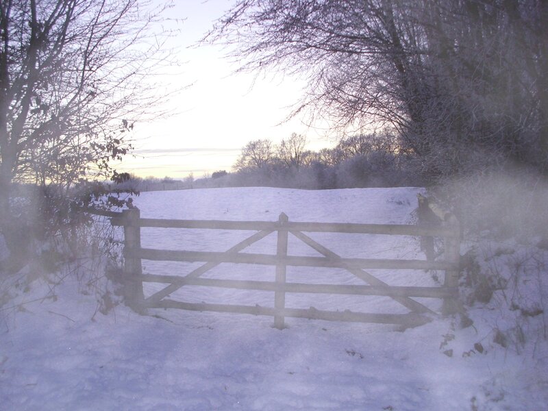Wooden Gate in Snow