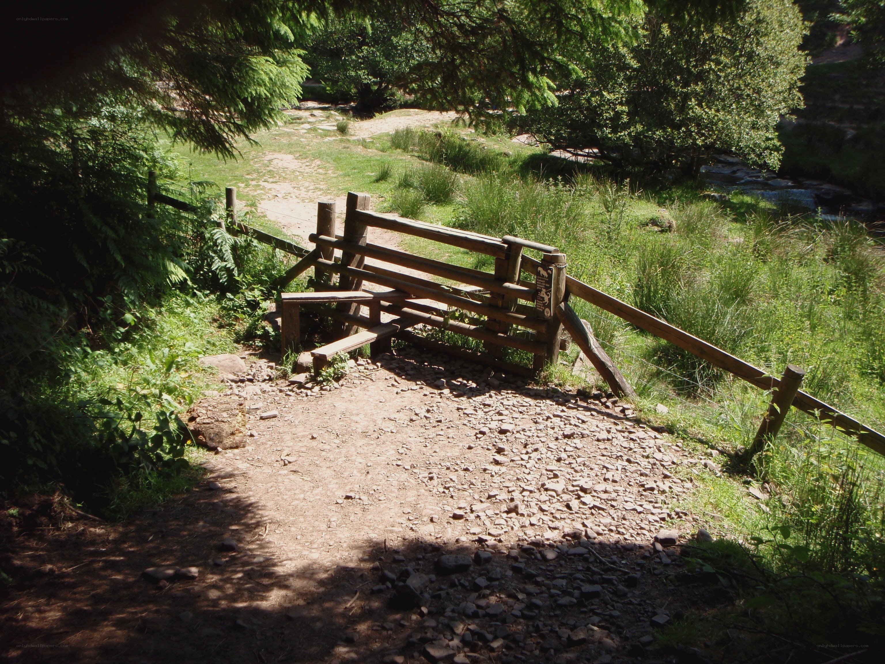 Wooden gate on forest path