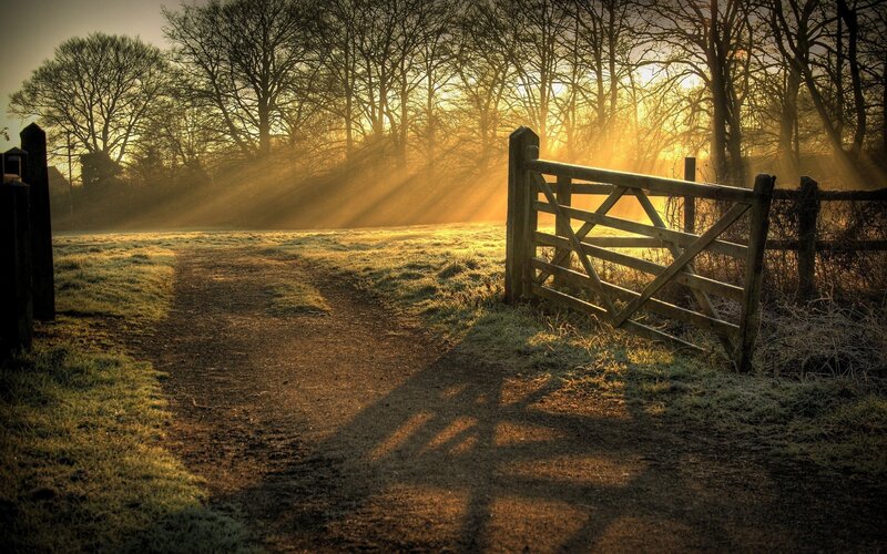 Wooden Gate on Path — Brown