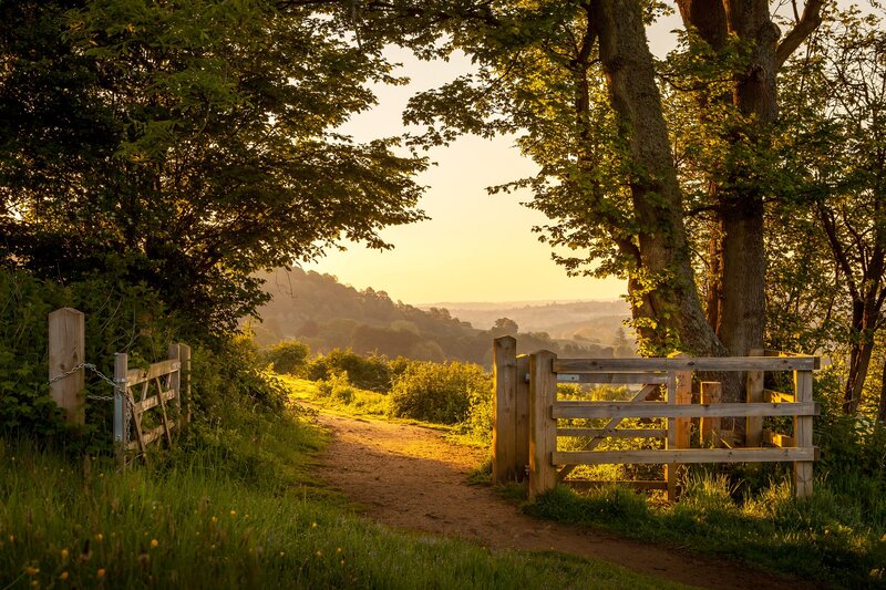 Wooden Gate on Path — Green
