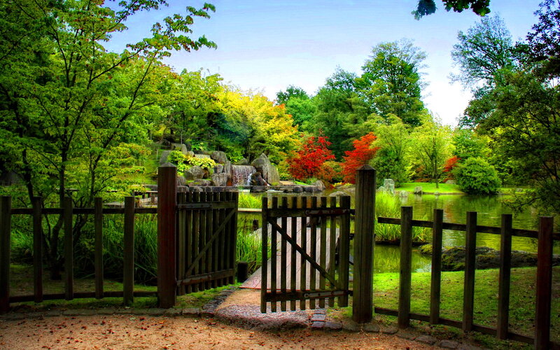 Wooden Gate to Garden — Green