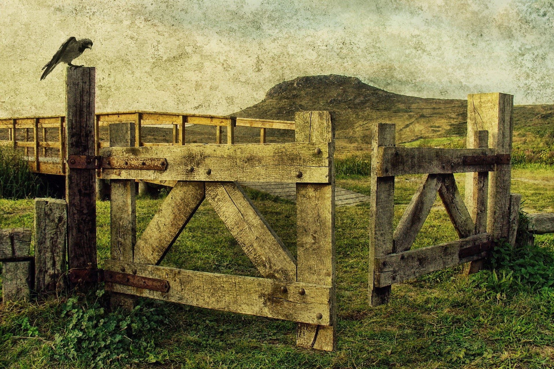 Wooden gate with bird on post