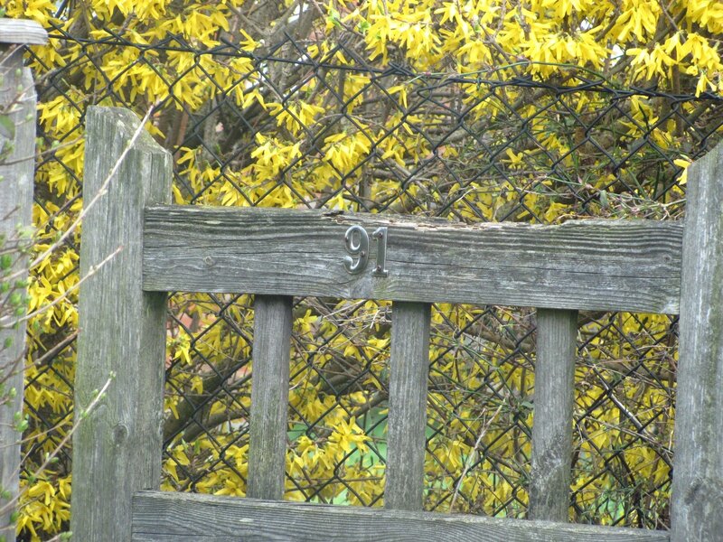 Wooden gate with house number 91