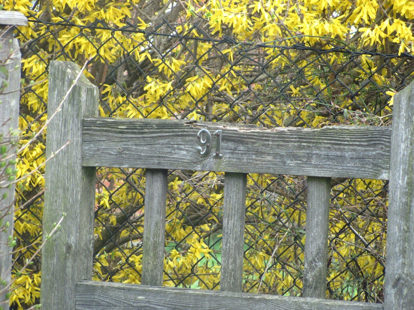 Wooden gate with house number 91