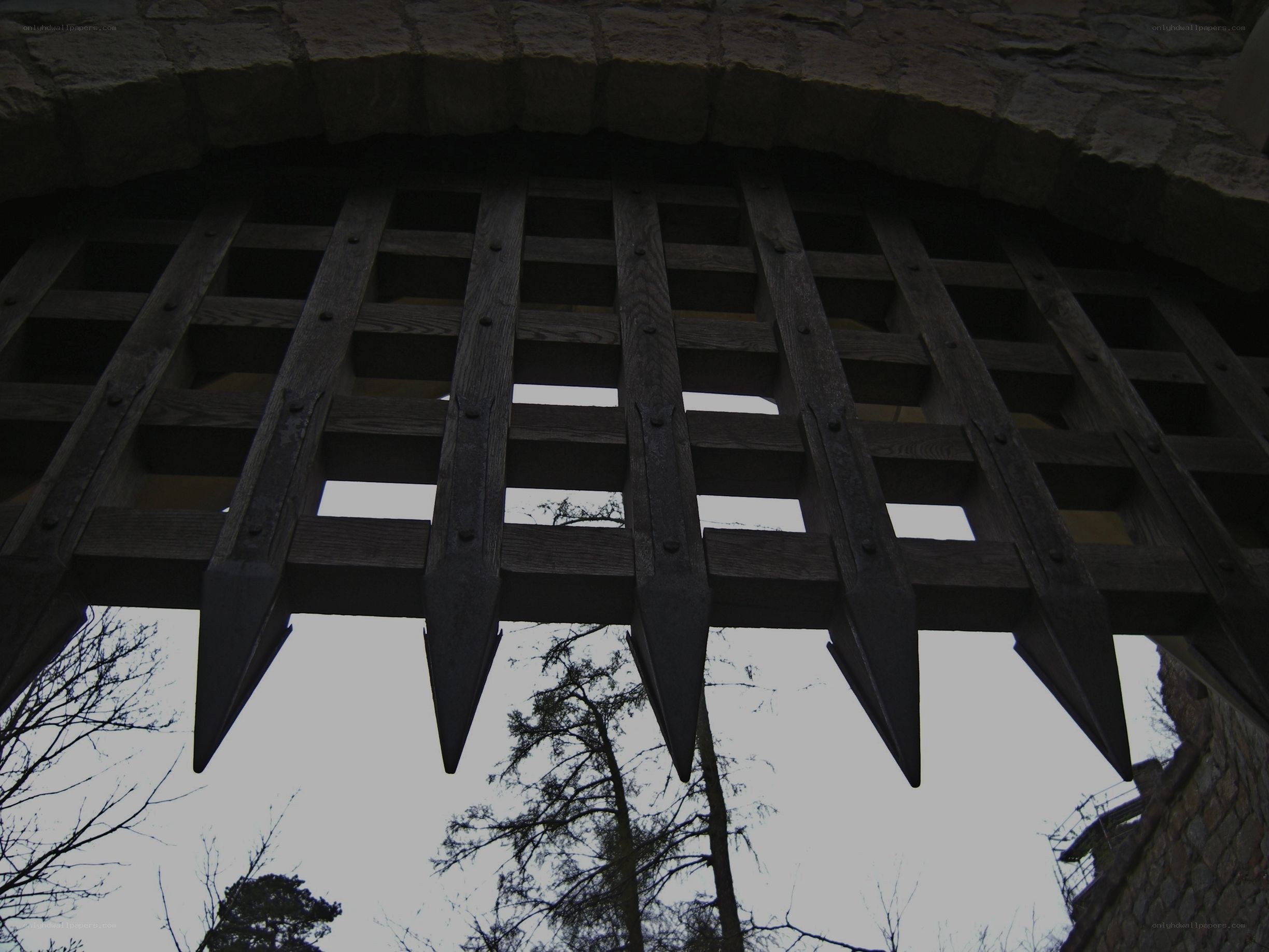 wooden gate with spikes