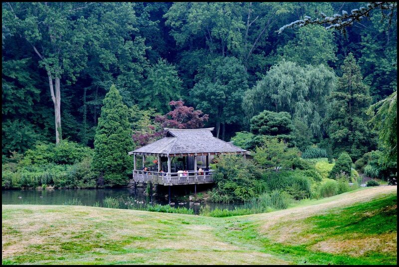Wooden Gazebo by Pond — Green