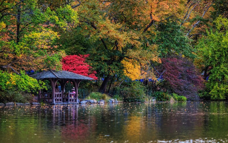 Wooden Gazebo by Pond