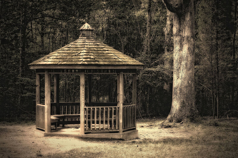 Wooden Gazebo in Forest — Brown, Serene