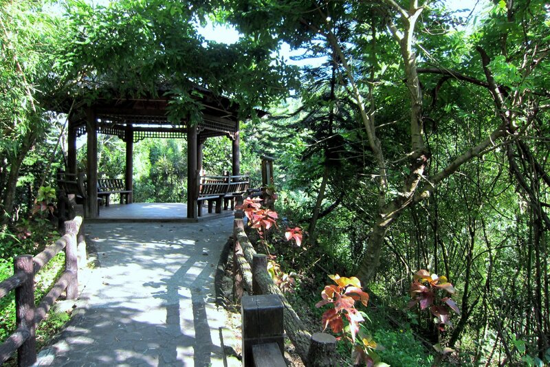 Wooden Gazebo in Forest — Green, Serene, Afternoon, Photograph, Path