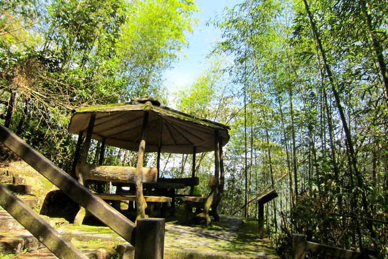 Wooden Gazebo in Forest — Green, Serene, Afternoon, Photograph