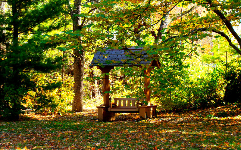 Wooden Gazebo in Forest — Green