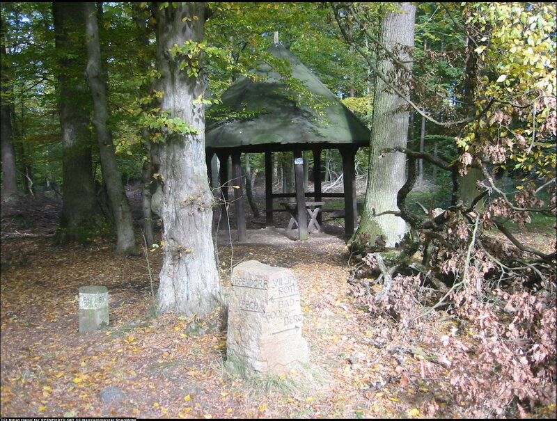 Wooden Gazebo in Forest
