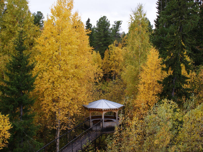 Wooden Gazebo in Forest — Yellow, Serene