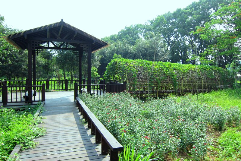 Wooden Gazebo in Garden — Green, Serene, Afternoon
