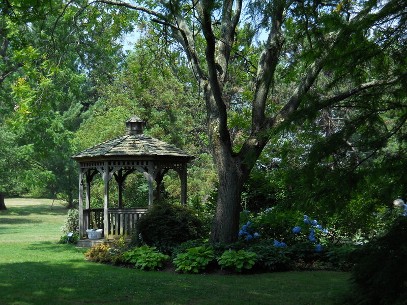 Wooden Gazebo in Garden — Green