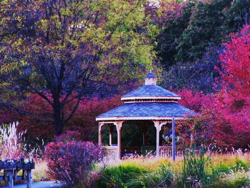 Wooden Gazebo in Garden — Red