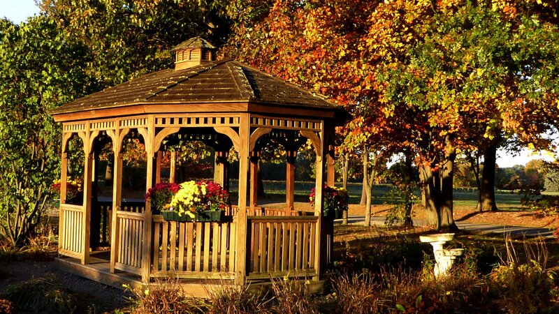 Wooden Gazebo in Park — Brown, Serene