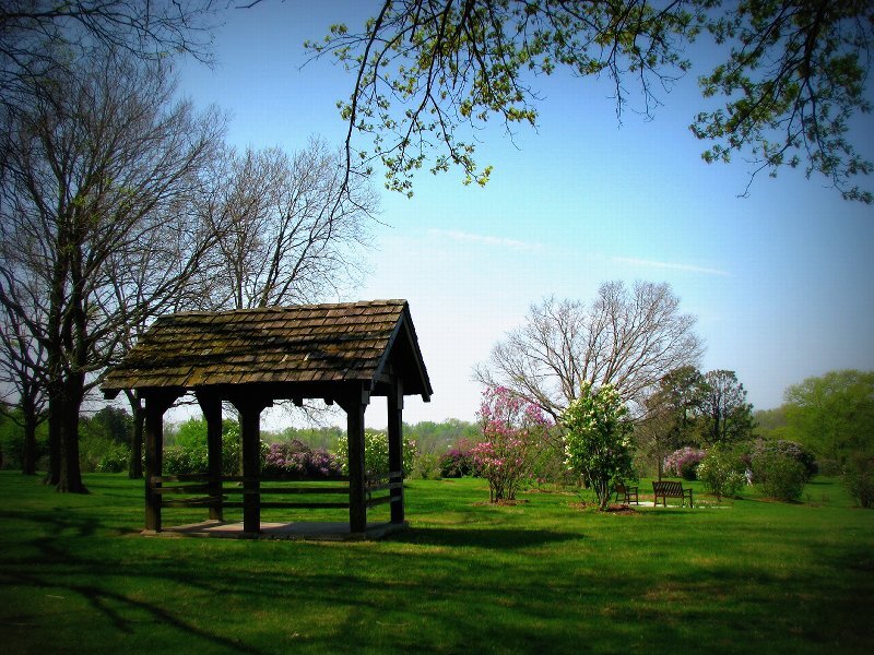 Wooden Gazebo in Park