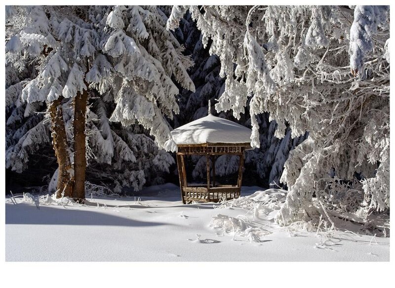 Wooden Gazebo in Snow