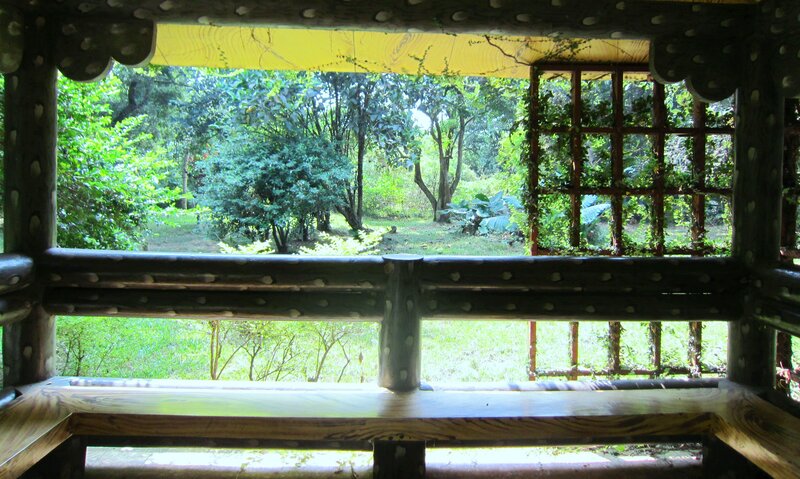 Wooden Gazebo View