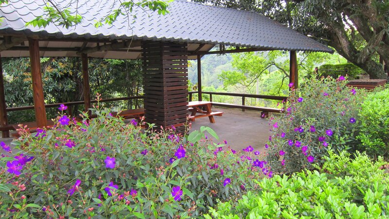 Wooden Gazebo with Flowers
