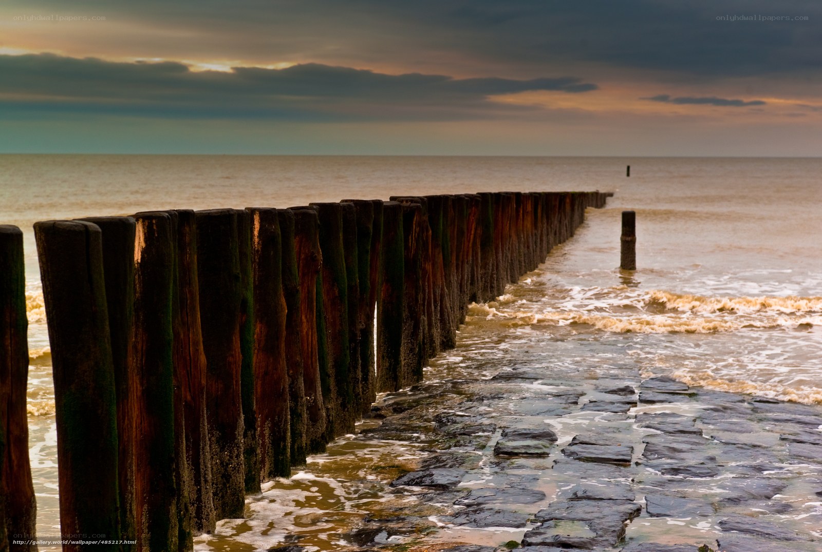 Wooden groynes at sunset