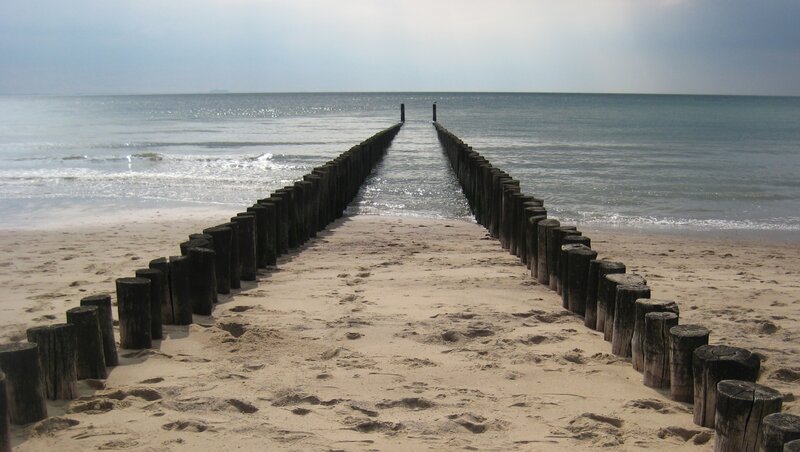 Wooden Groynes on Beach — Beige, Serene