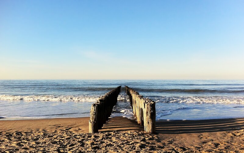Wooden Groynes on Beach