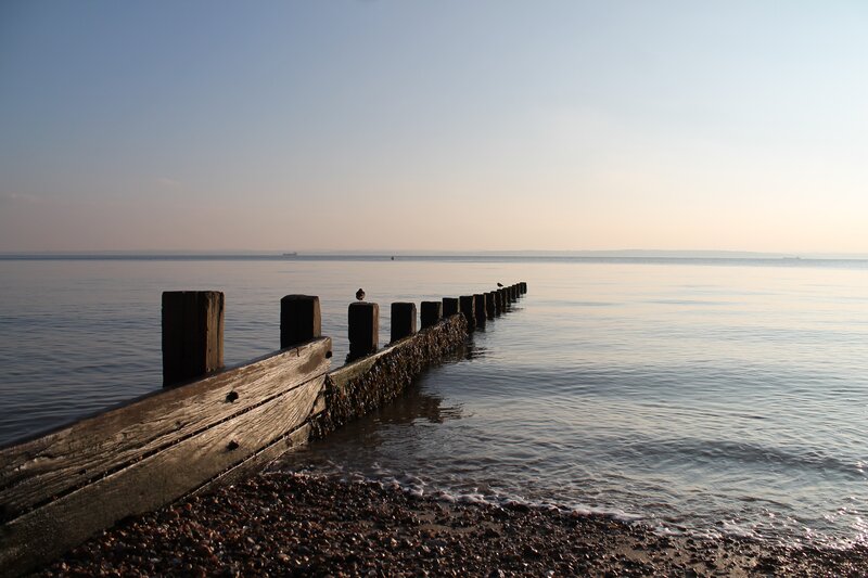 Wooden Groynes on Pebble Beach