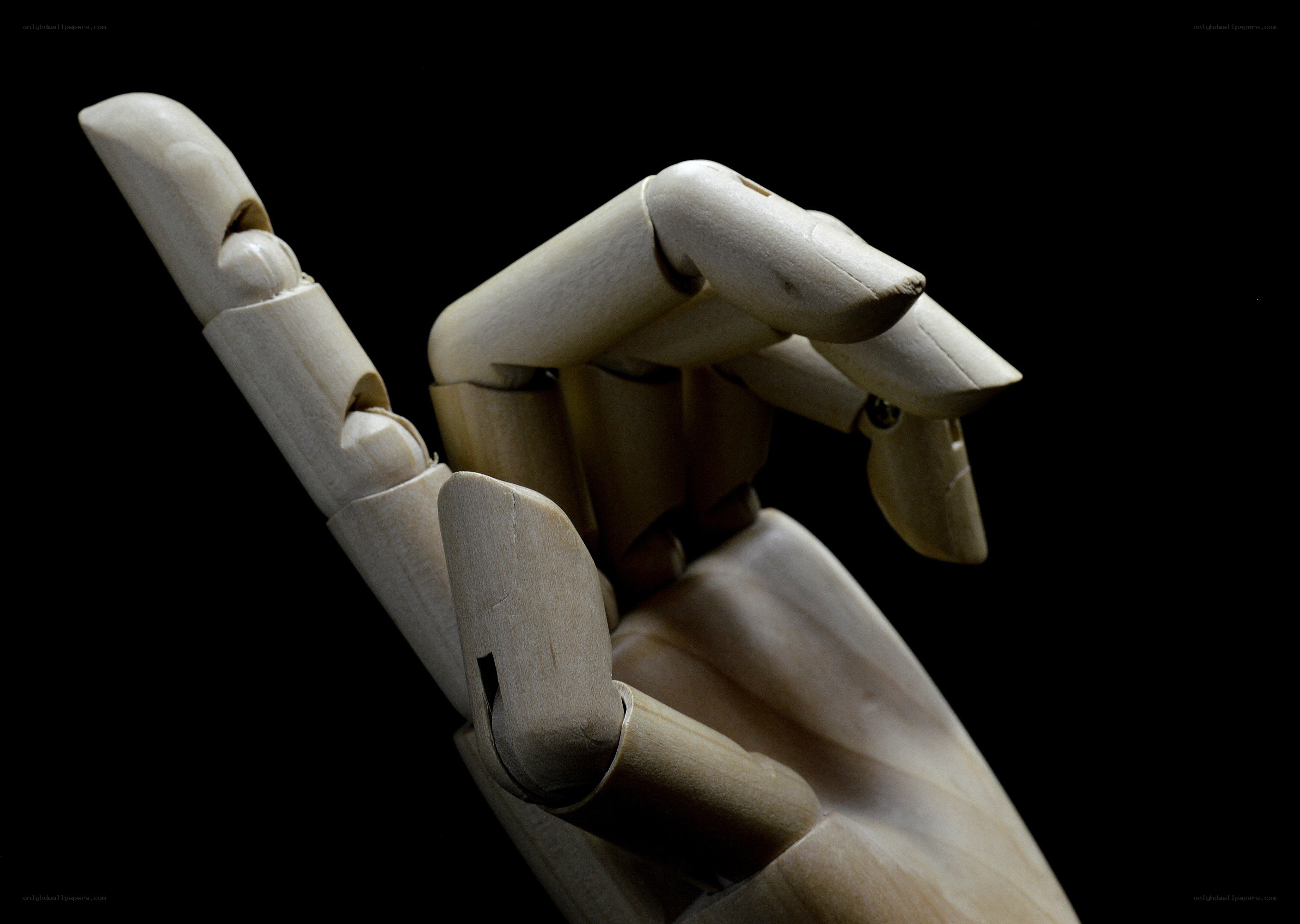 wooden hand model